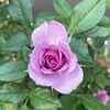 katie_watson5